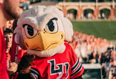 Eagle Mascot